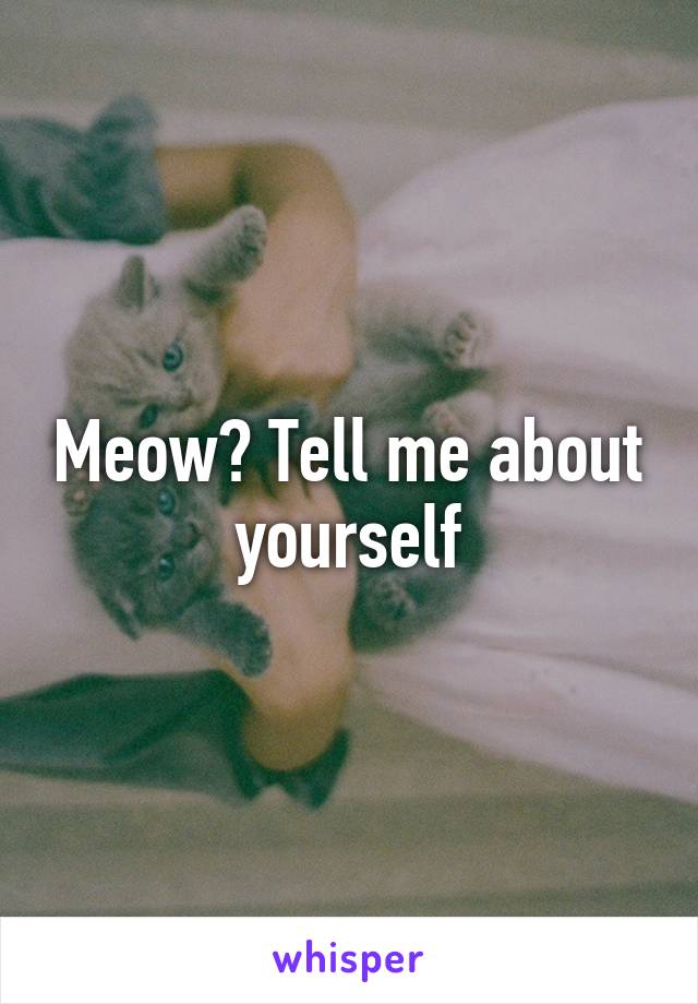 Meow? Tell me about yourself