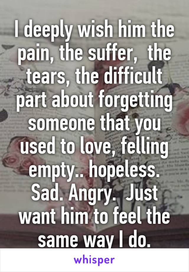 I deeply wish him the pain, the suffer,  the tears, the difficult part about forgetting someone that you used to love, felling empty.. hopeless. Sad. Angry.  Just want him to feel the same way I do.