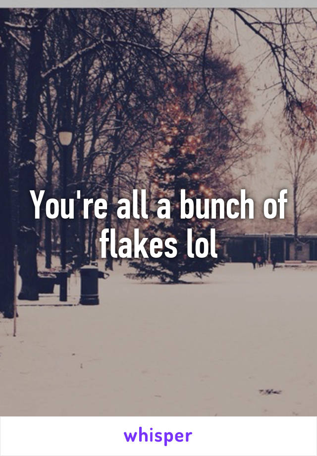 You're all a bunch of flakes lol