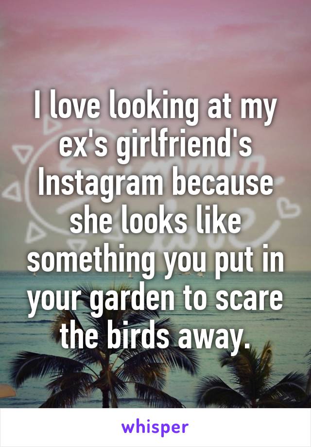I love looking at my ex's girlfriend's Instagram because she looks like something you put in your garden to scare the birds away.