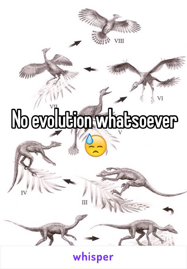 No evolution whatsoever 😓