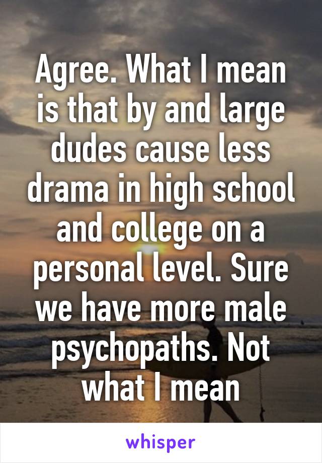 Agree. What I mean is that by and large dudes cause less drama in high school and college on a personal level. Sure we have more male psychopaths. Not what I mean