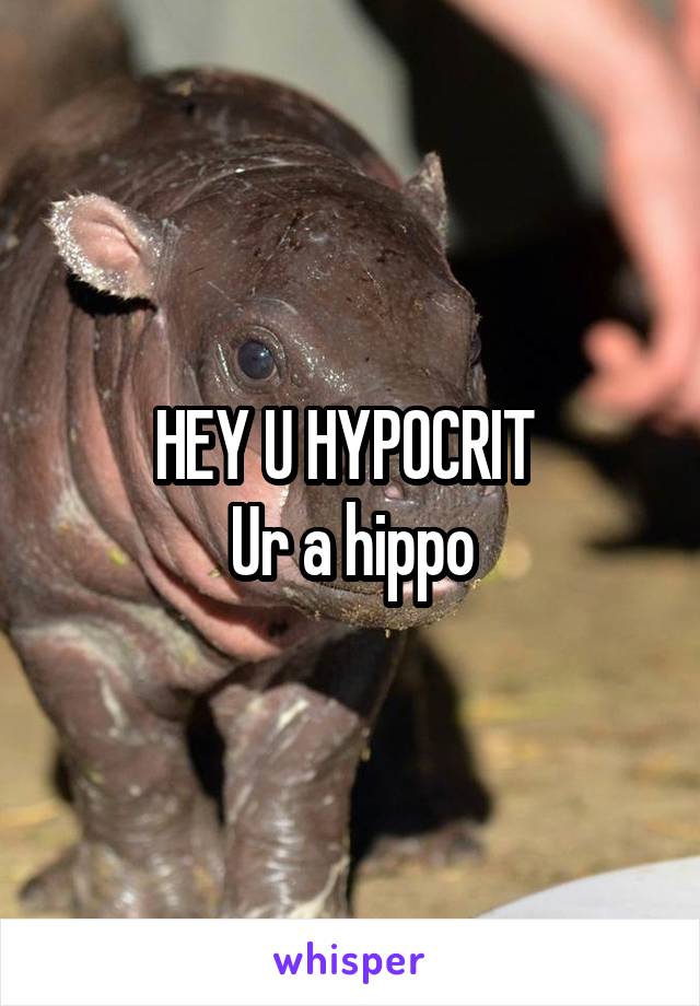 HEY U HYPOCRIT 
Ur a hippo