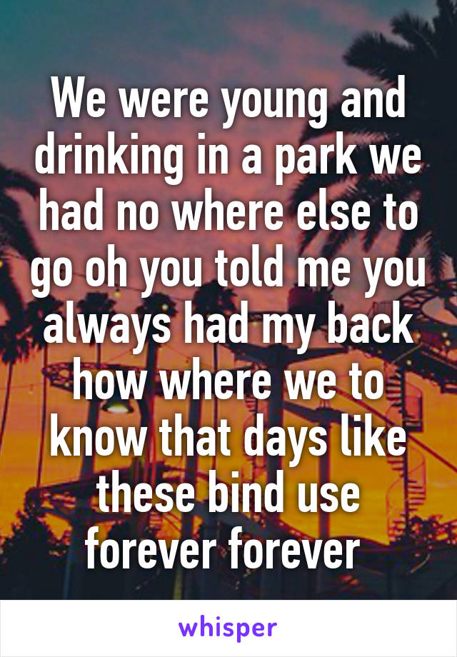 We were young and drinking in a park we had no where else to go oh you told me you always had my back how where we to know that days like these bind use forever forever 