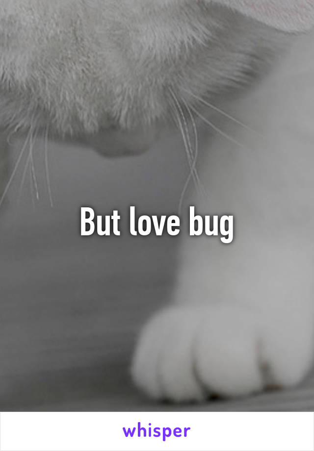 But love bug