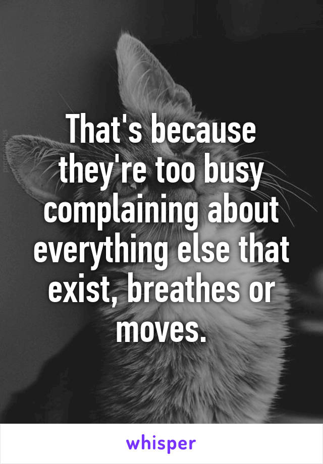 That's because they're too busy complaining about everything else that exist, breathes or moves.