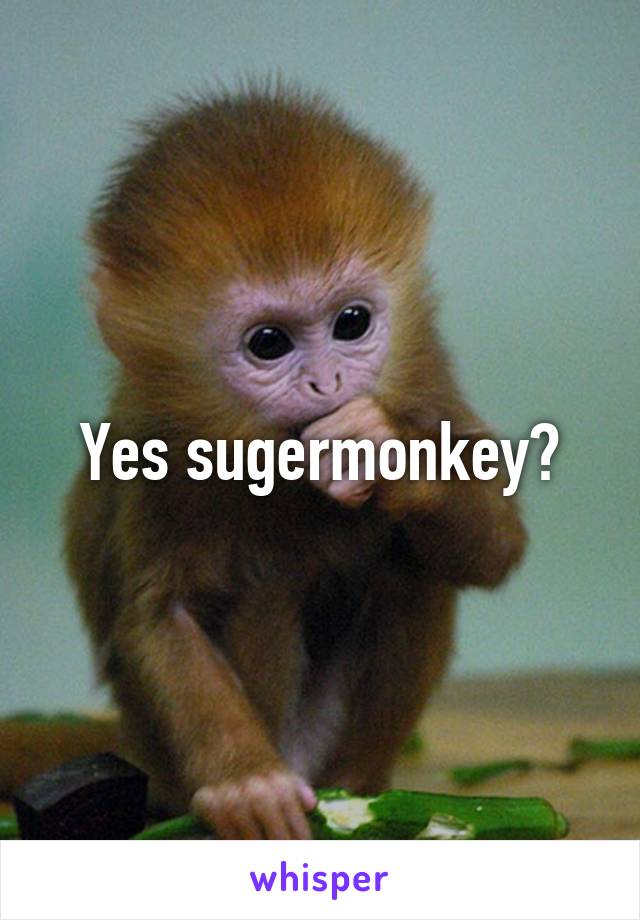 Yes sugermonkey?