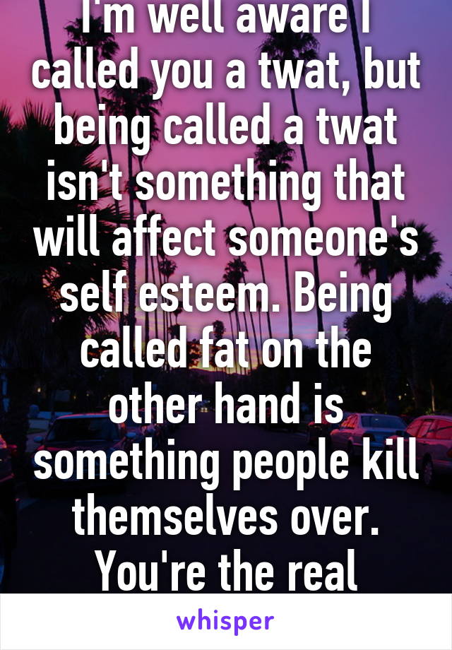 I'm well aware I called you a twat, but being called a twat isn't something that will affect someone's self esteem. Being called fat on the other hand is something people kill themselves over. You're the real "special" one here.