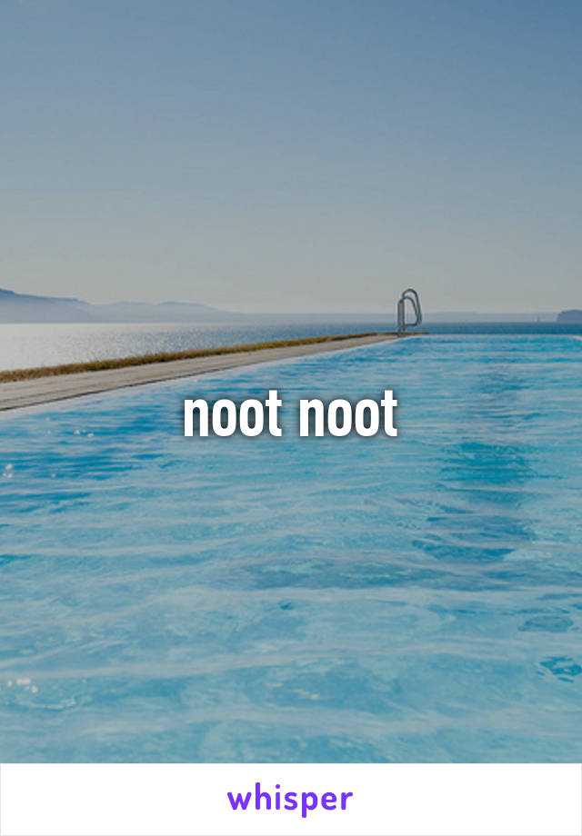 noot noot