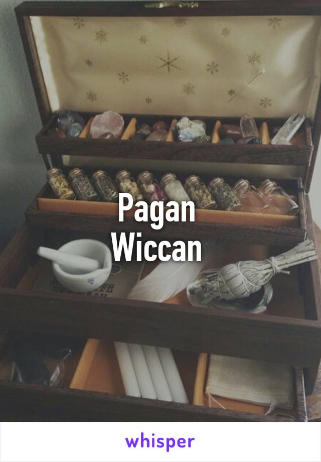 Pagan 
Wiccan 