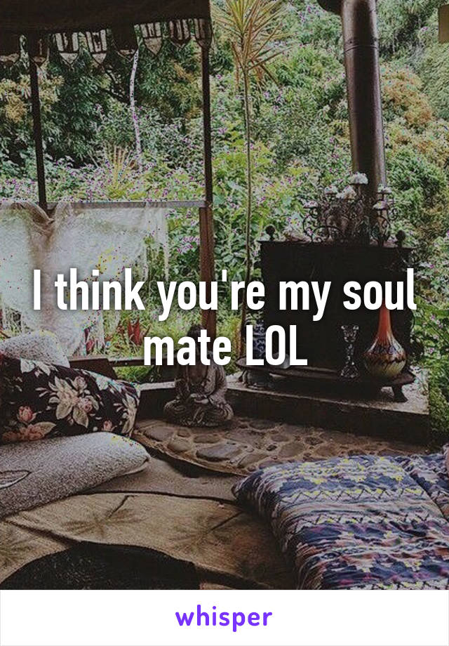 I think you're my soul mate LOL
