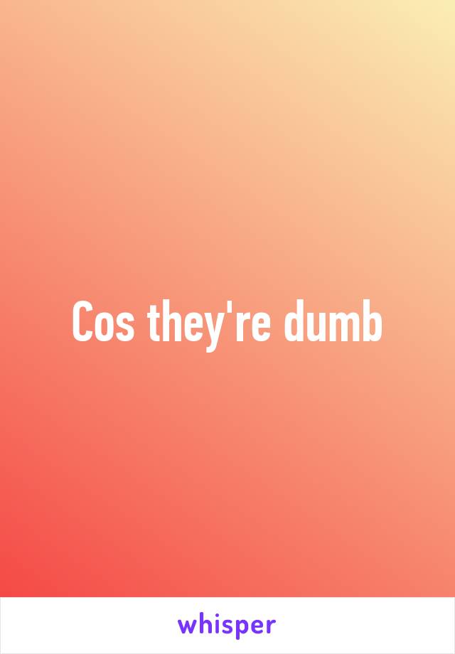 Cos they're dumb