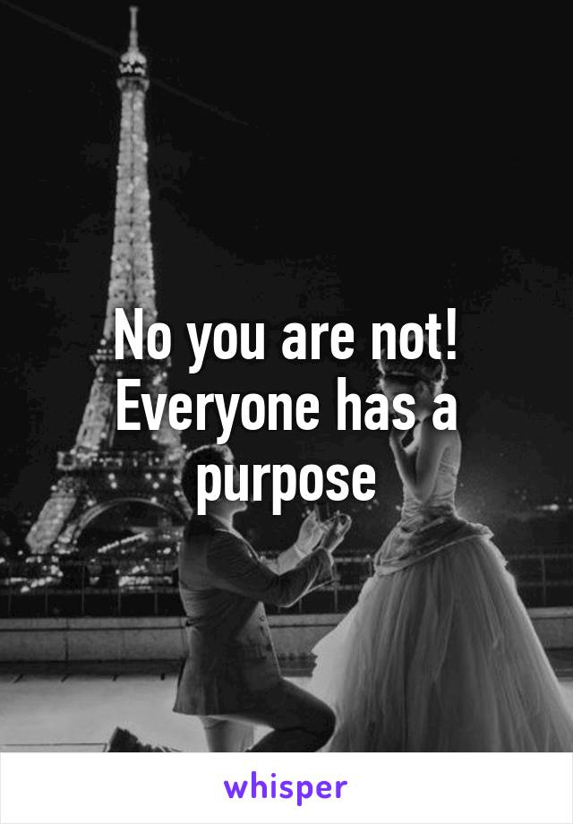 No you are not!
Everyone has a purpose