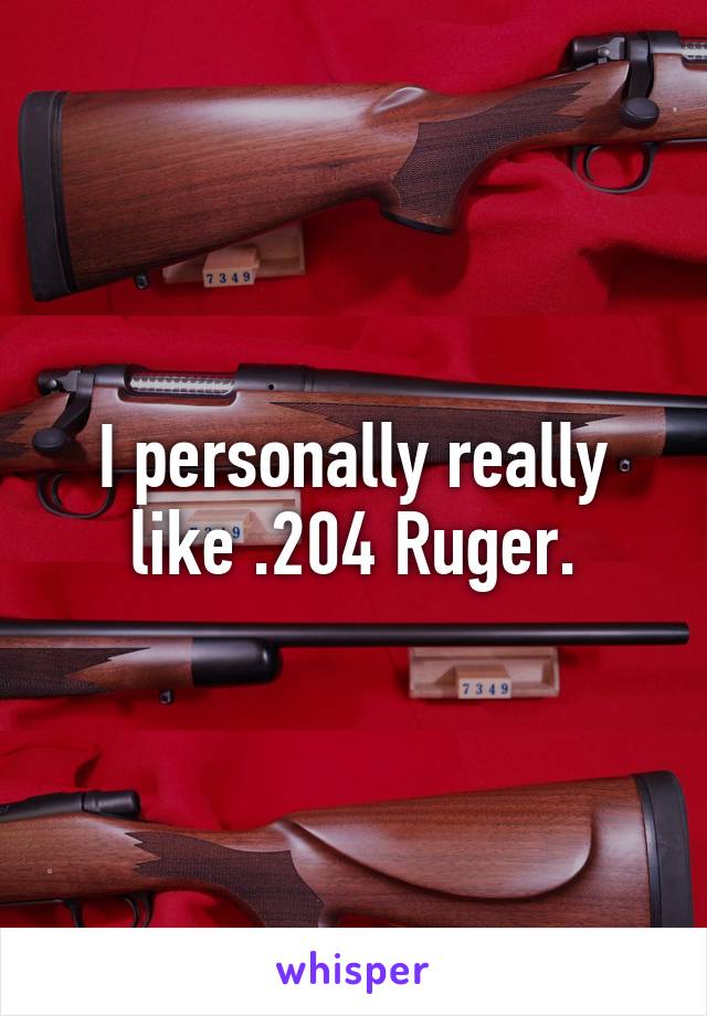 I personally really like .204 Ruger.