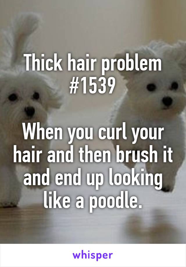 Thick hair problem #1539

When you curl your hair and then brush it and end up looking like a poodle.