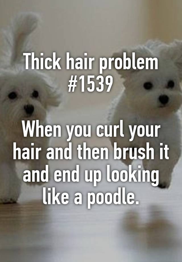 Thick hair problem #1539

When you curl your hair and then brush it and end up looking like a poodle.