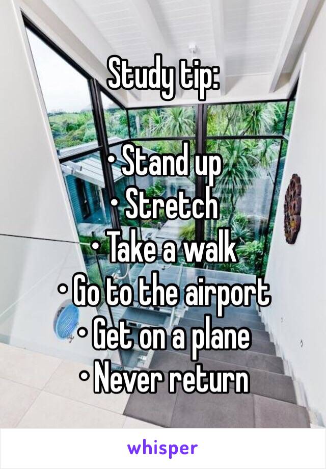 Study tip:       

• Stand up
• Stretch
• Take a walk
• Go to the airport
• Get on a plane
• Never return