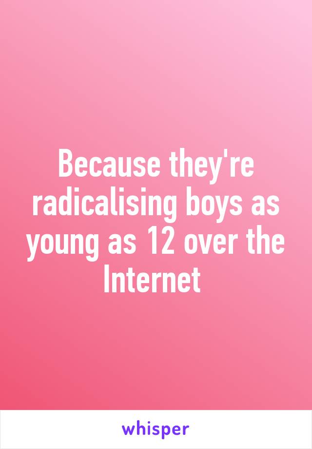 Because they're radicalising boys as young as 12 over the Internet 