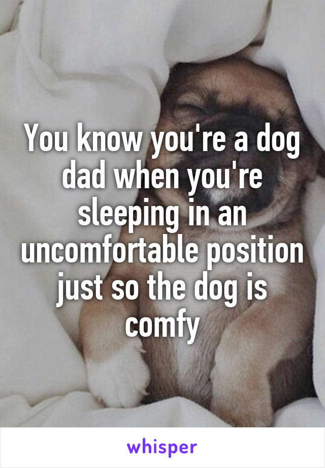 You know you're a dog dad when you're sleeping in an uncomfortable position just so the dog is comfy