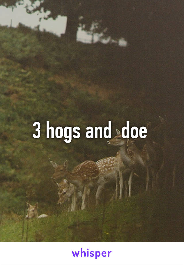 3 hogs and  doe 