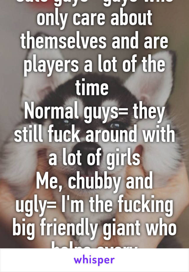 Cute guys= guys who only care about themselves and are players a lot of the time 
Normal guys= they still fuck around with a lot of girls
Me, chubby and ugly= I'm the fucking big friendly giant who helps every girl,alonelol