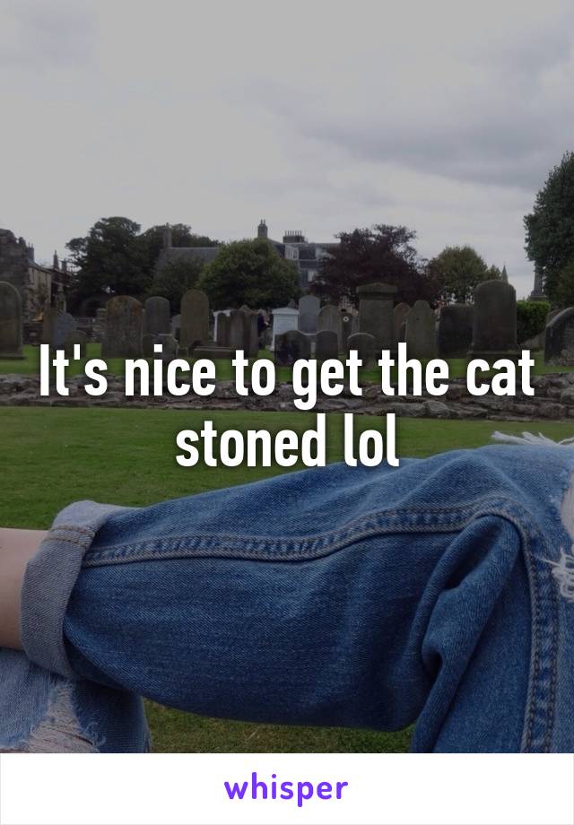 It's nice to get the cat stoned lol