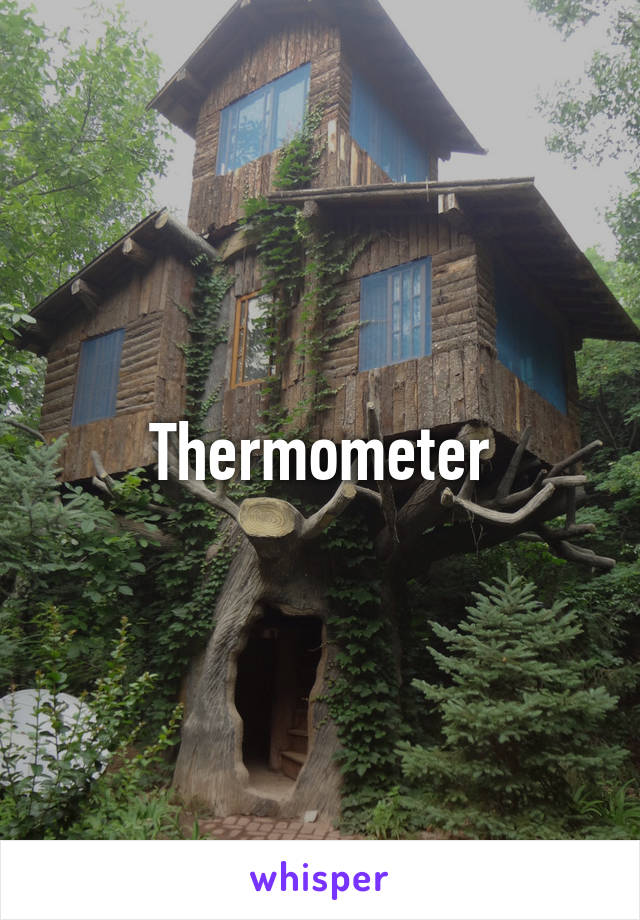 Thermometer