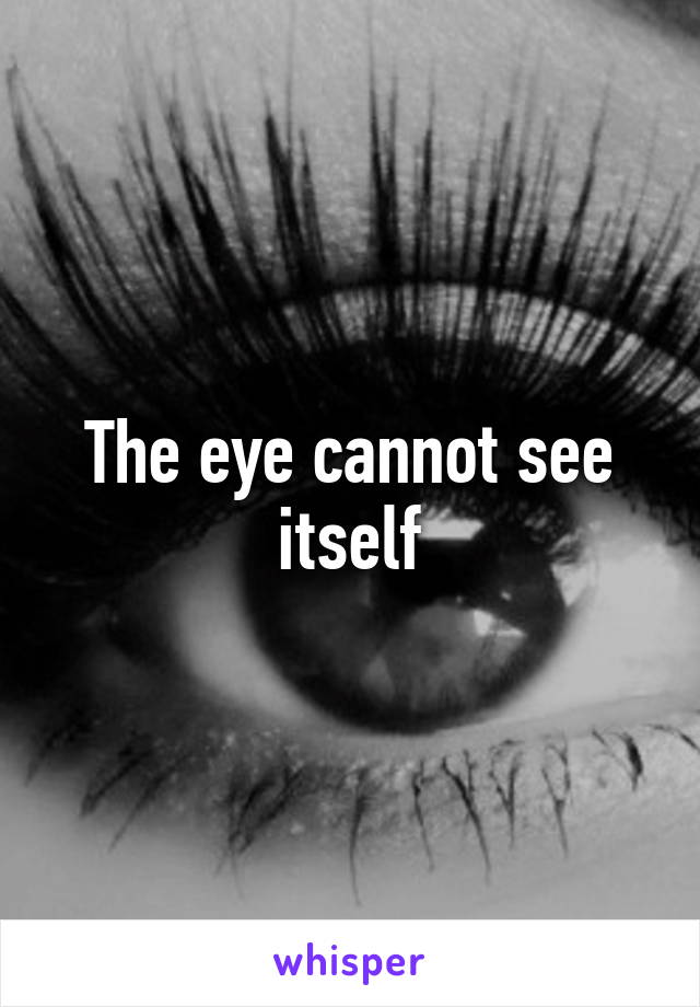 The eye cannot see itself