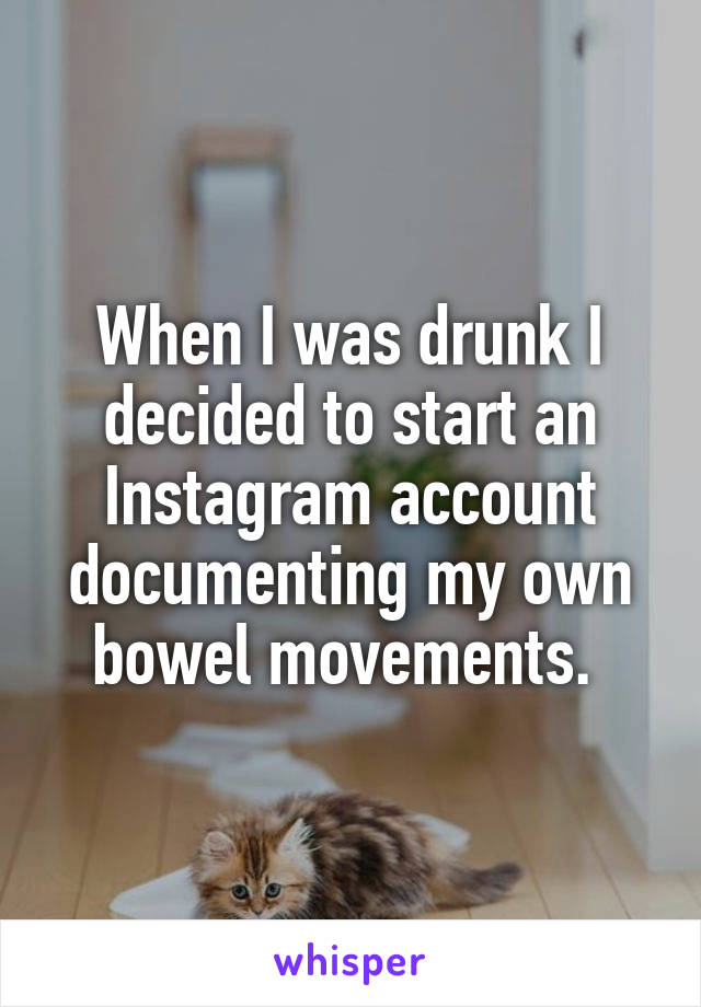 When I was drunk I decided to start an Instagram account documenting my own bowel movements. 