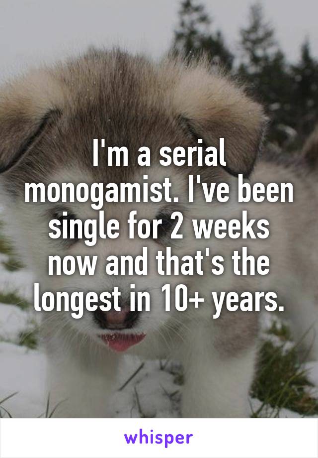 I'm a serial monogamist. I've been single for 2 weeks now and that's the longest in 10+ years.