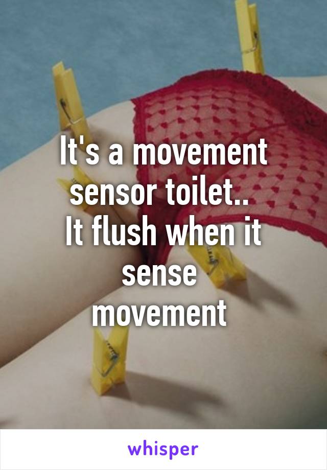 It's a movement sensor toilet.. 
It flush when it sense 
movement 