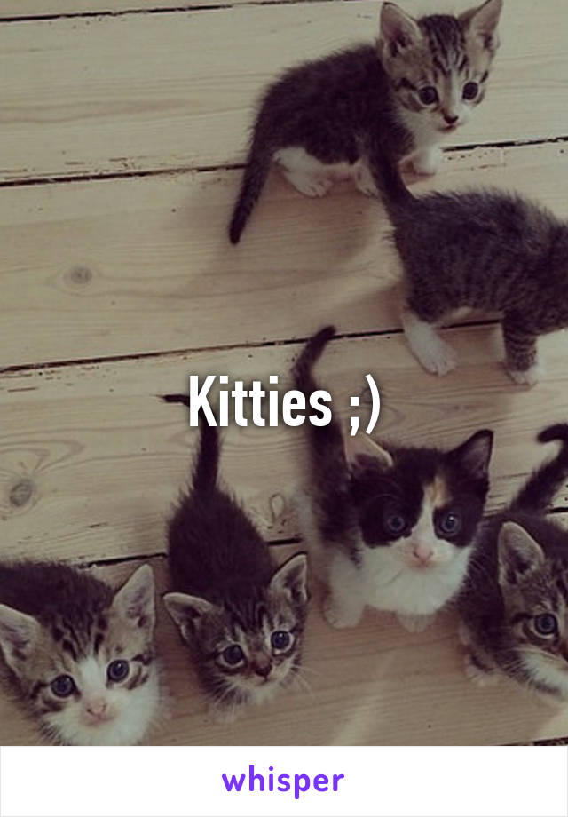 Kitties ;)