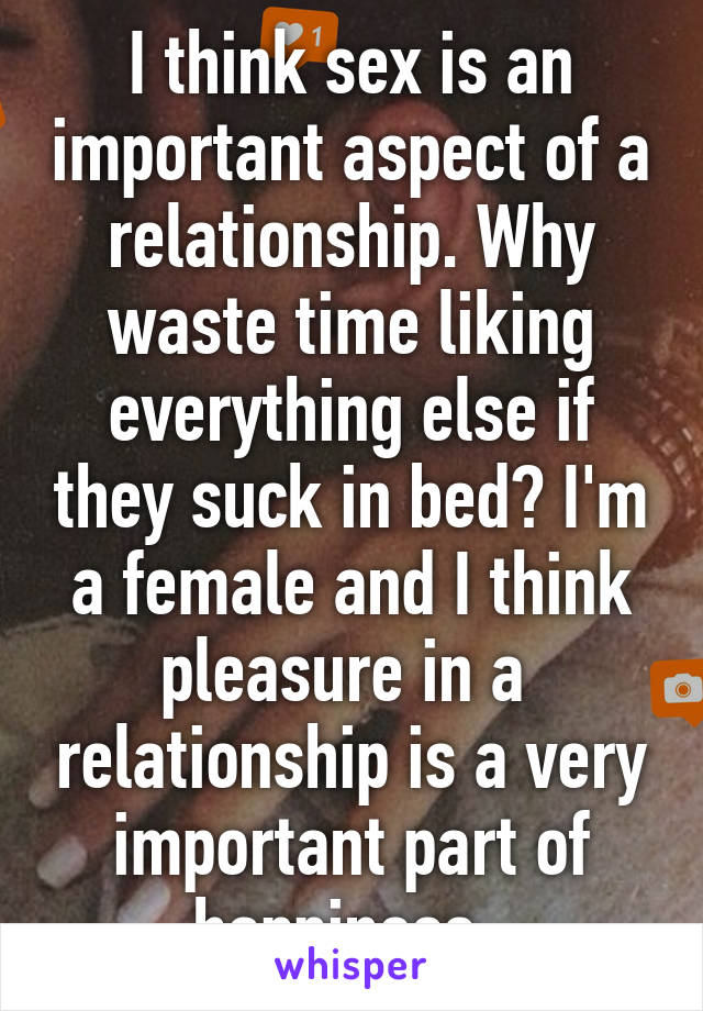 I think sex is an important aspect of a relationship. Why waste time liking everything else if they suck in bed? I'm a female and I think pleasure in a  relationship is a very important part of happiness. 