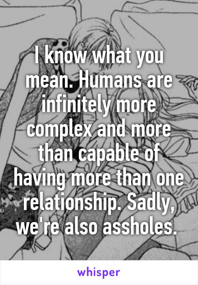I know what you mean. Humans are infinitely more complex and more than capable of having more than one relationship. Sadly, we're also assholes. 