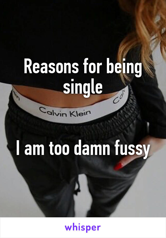 Reasons for being single


I am too damn fussy 