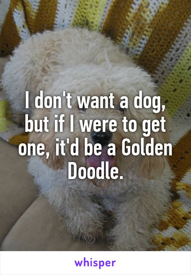 I don't want a dog, but if I were to get one, it'd be a Golden Doodle.