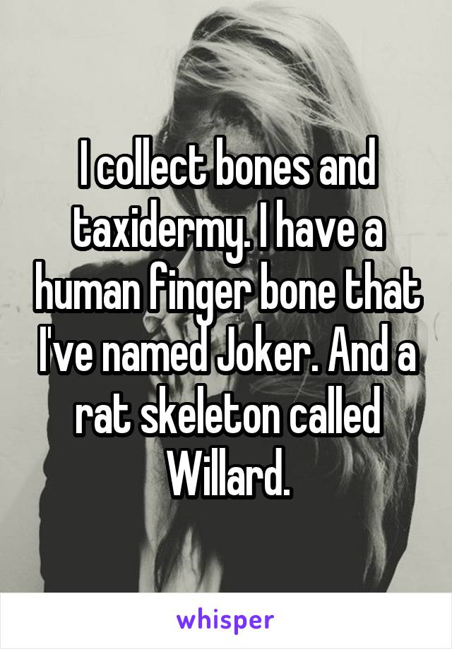 I collect bones and taxidermy. I have a human finger bone that I've named Joker. And a rat skeleton called Willard.