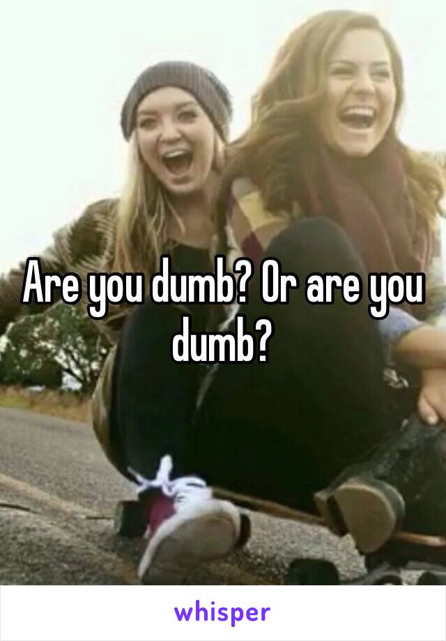 Are you dumb? Or are you dumb? 