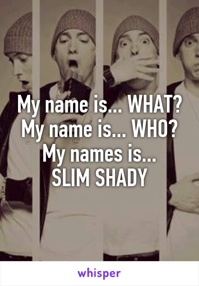 My name is... WHAT?
My name is... WHO?
My names is...
SLIM SHADY