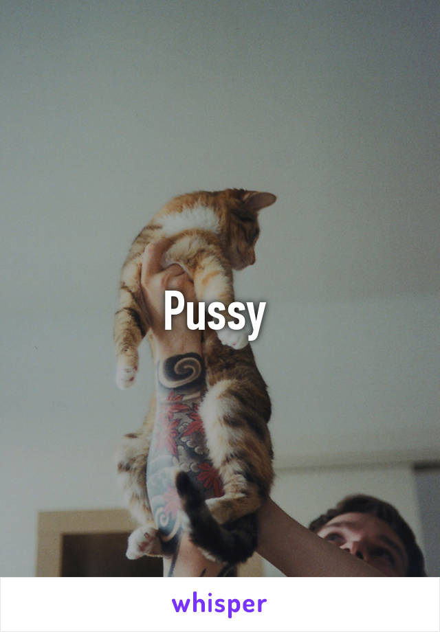 Pussy 