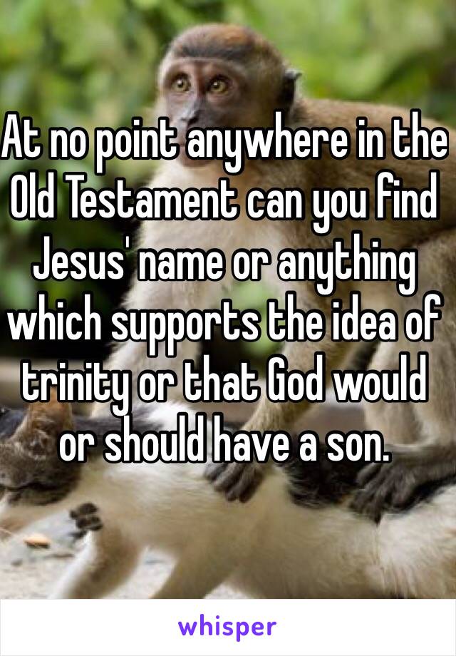 At no point anywhere in the Old Testament can you find Jesus' name or anything which supports the idea of trinity or that God would or should have a son. 