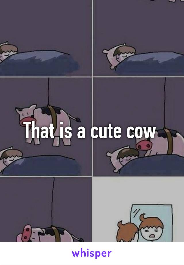 That is a cute cow 