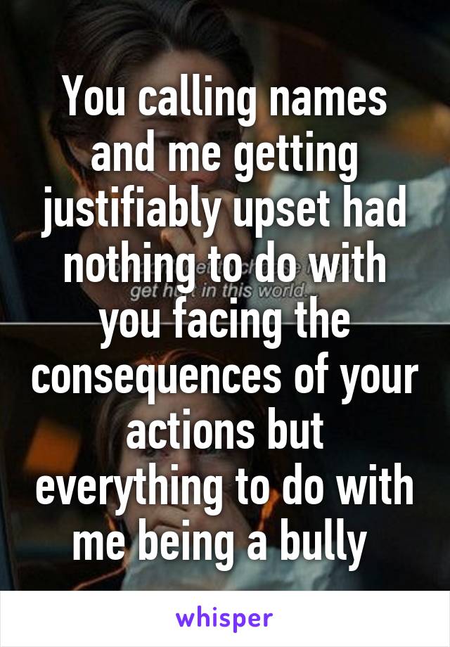 You calling names and me getting justifiably upset had nothing to do with you facing the consequences of your actions but everything to do with me being a bully 