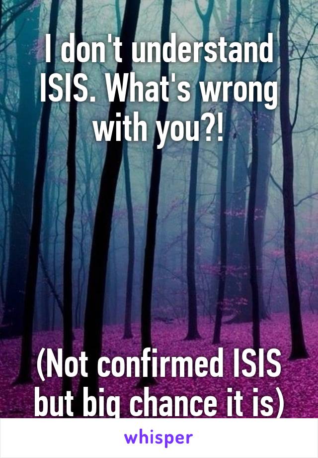 I don't understand ISIS. What's wrong with you?!





(Not confirmed ISIS but big chance it is)