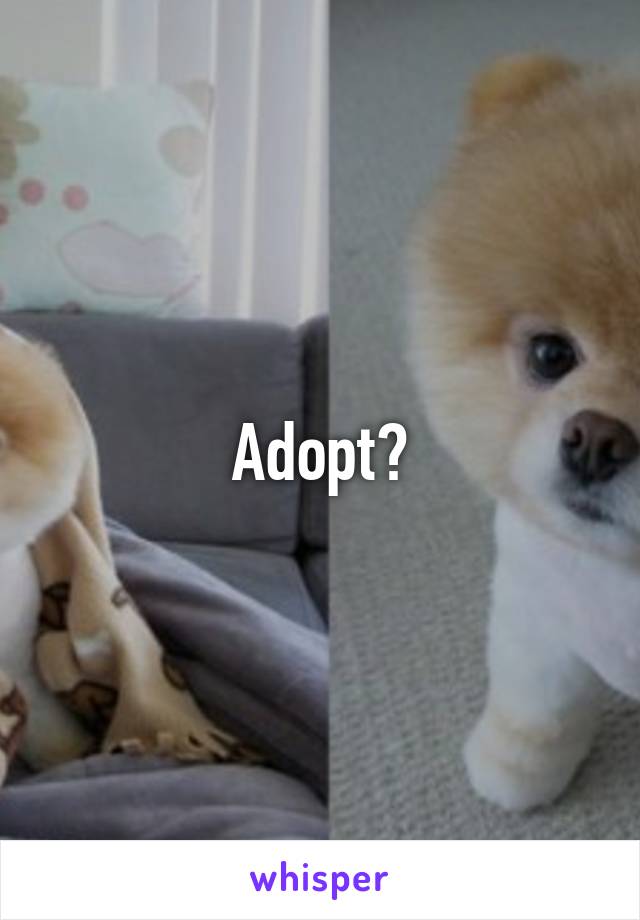 Adopt?