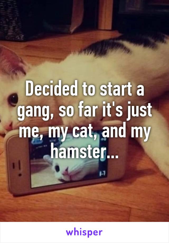 Decided to start a gang, so far it's just me, my cat, and my hamster...