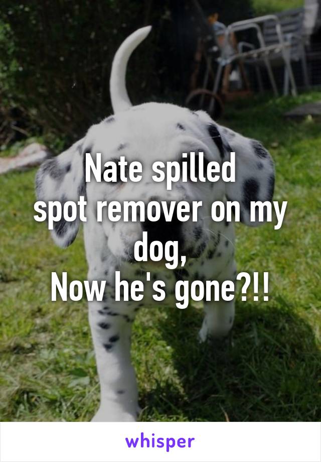 Nate spilled
spot remover on my dog,
Now he's gone?!!