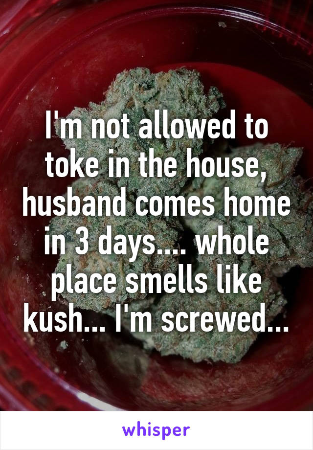 I'm not allowed to toke in the house, husband comes home in 3 days.... whole place smells like kush... I'm screwed...