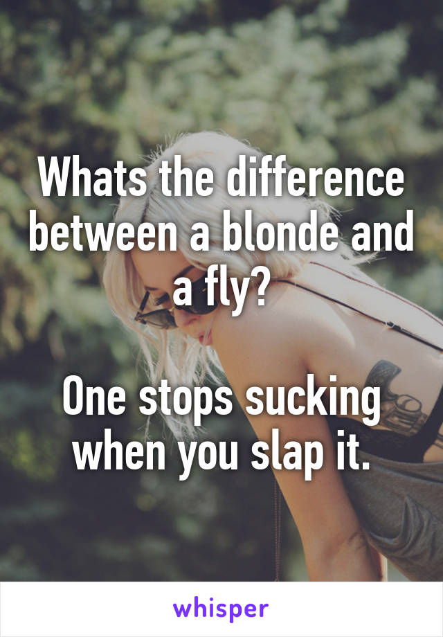 Whats the difference between a blonde and a fly?

One stops sucking when you slap it.
