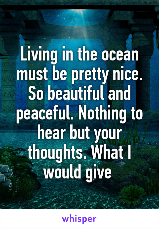 Living in the ocean must be pretty nice. So beautiful and peaceful. Nothing to hear but your thoughts. What I would give 